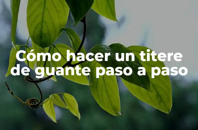 Cómo Hacer un Titere de Guante Paso a Paso