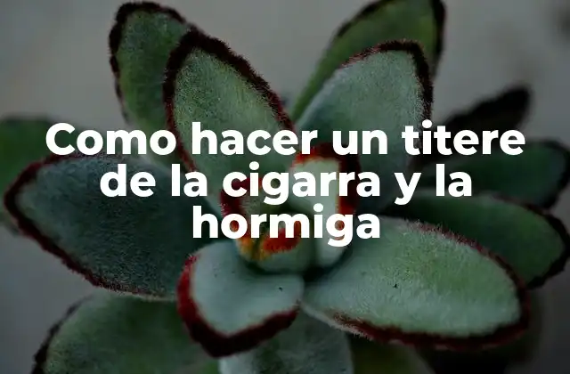 Como Hacer un Titere de la Cigarra y la Hormiga