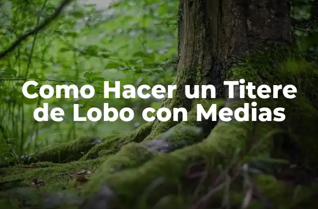 Como Hacer un Titere de Lobo con Medias