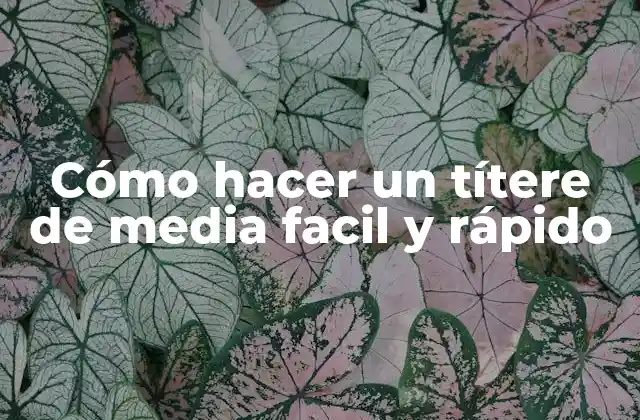 Cómo Hacer un Títere de Media Facil y Rápido