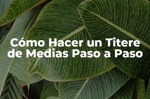 Cómo Hacer un Titere de Medias Paso a Paso 2 ¿Qué es un Titere de Medias?