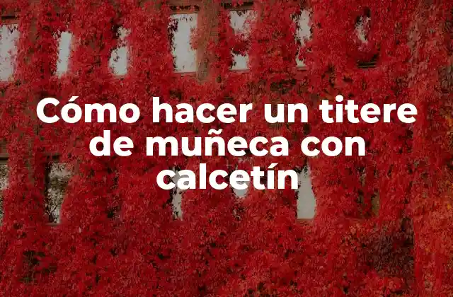 Cómo Hacer un Titere de Muñeca con Calcetín 2 ¿Qué es un titere de muñeca con calcetín?