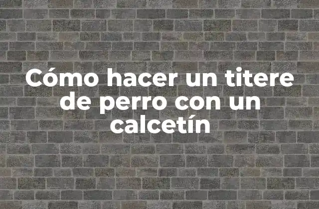 Cómo Hacer un Titere de Perro con un Calcetín