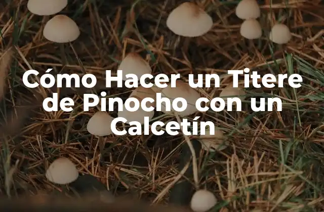 Cómo Hacer un Titere de Pinocho con un Calcetín