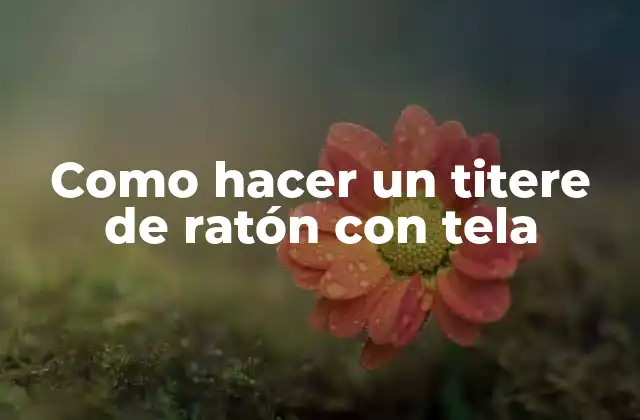 Como Hacer un Titere de Ratón con Tela