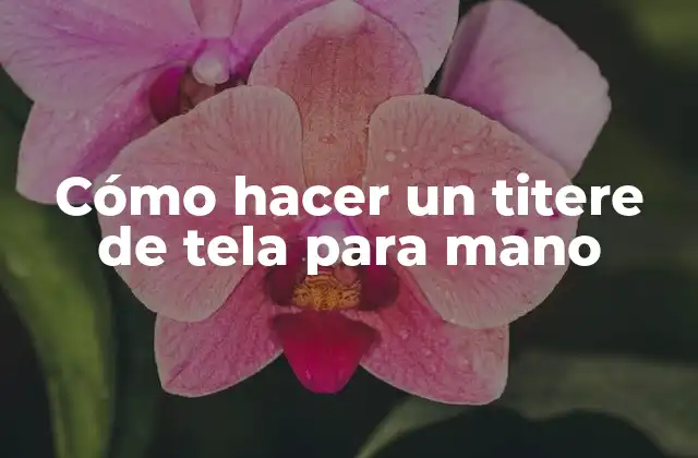 Cómo Hacer un Titere de Tela para Mano