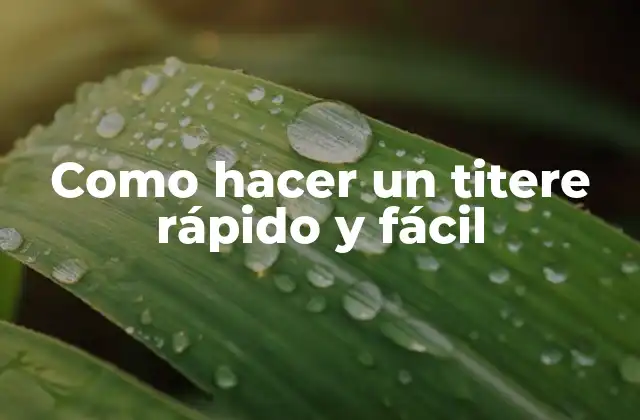 Como Hacer un Titere Rápido y Fácil
