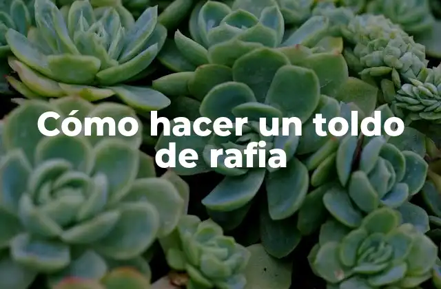 Cómo Hacer un Toldo de Rafia