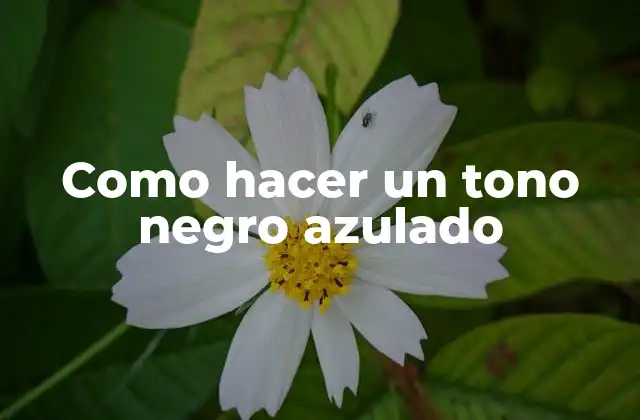 Como Hacer un Tono Negro Azulado