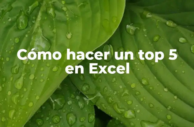 Cómo Hacer un Top 5 en Excel 2 ¿Qué es un top 5 en Excel?