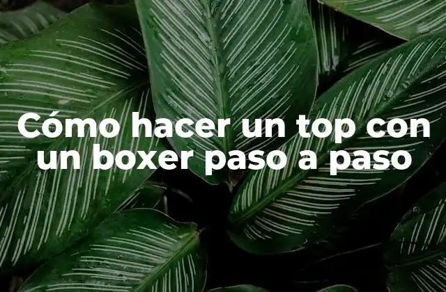 Cómo Hacer un Top con un Boxer Paso a Paso