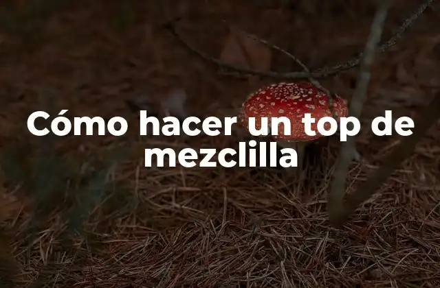 ¿Qué es un top de mezclilla?