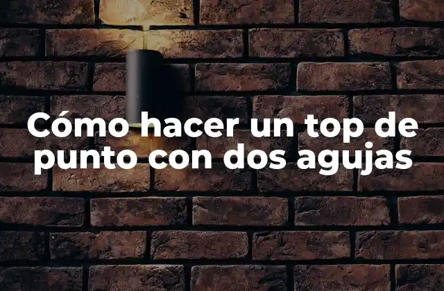 Cómo Hacer un Top de Punto con Dos Agujas