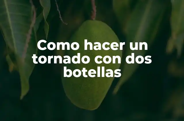 Como Hacer un Tornado con Dos Botellas