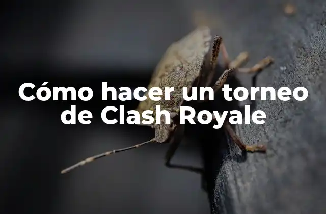 Cómo Hacer un Torneo de Clash Royale