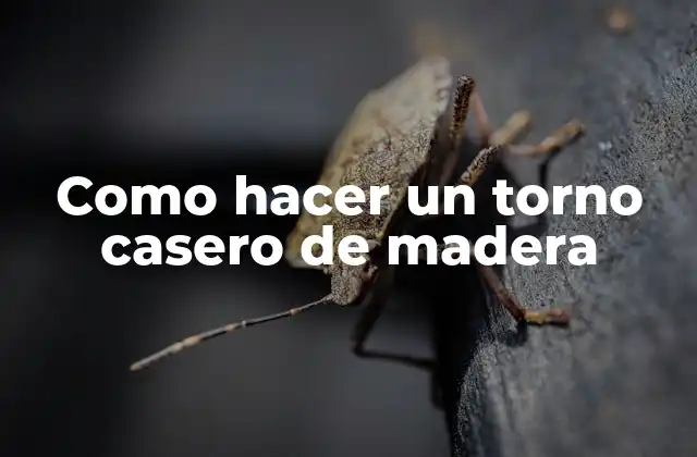 Como Hacer un Torno Casero de Madera