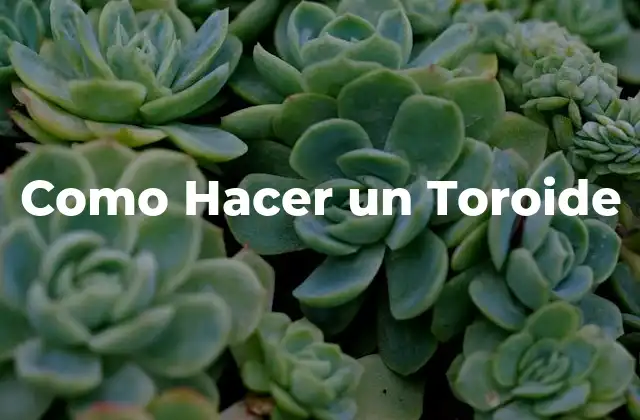 Como Hacer un Toroide