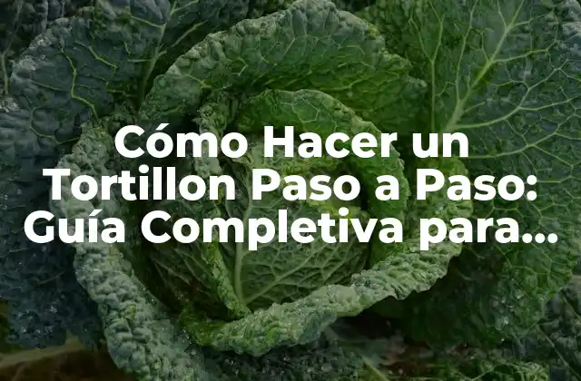 Cómo Hacer un Tortillon Paso a Paso: Guía Completiva para Principiantes