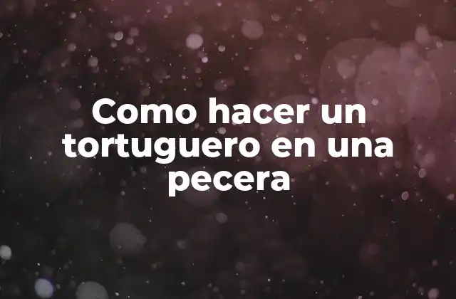 Como Hacer un Tortuguero en una Pecera
