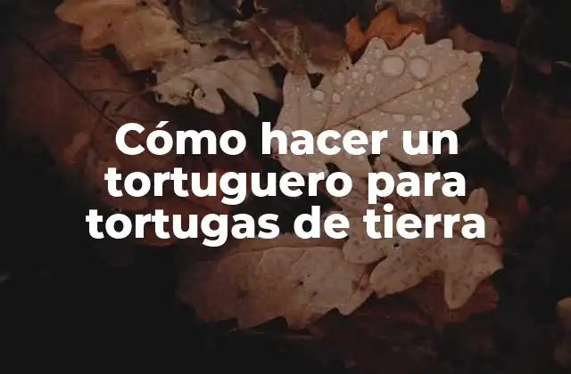 Cómo Hacer un Tortuguero para Tortugas de Tierra 2 Tortuguero para tortugas de tierra