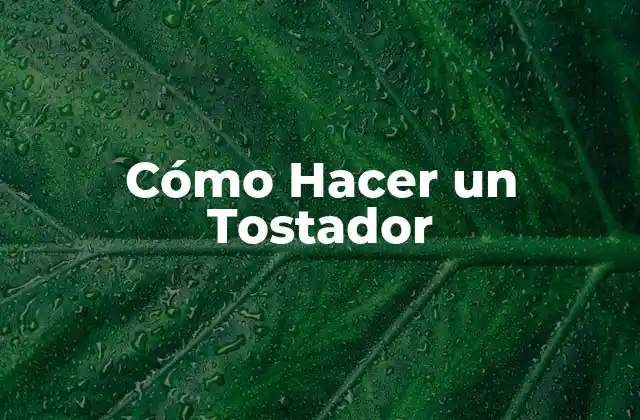 Cómo Hacer un Tostador