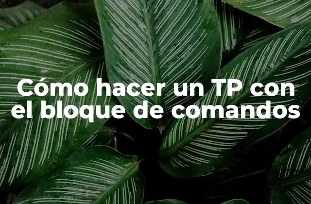 Cómo Hacer un Tp con el Bloque de Comandos