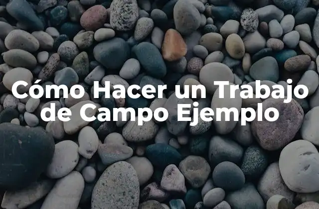 Cómo Hacer un Trabajo de Campo Ejemplo
