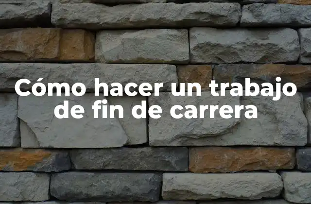 Cómo hacer un trabajo de fin de carrera