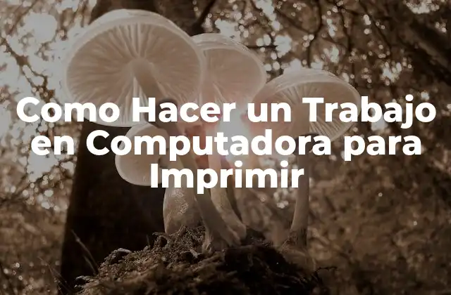 Como Hacer un Trabajo en Computadora para Imprimir