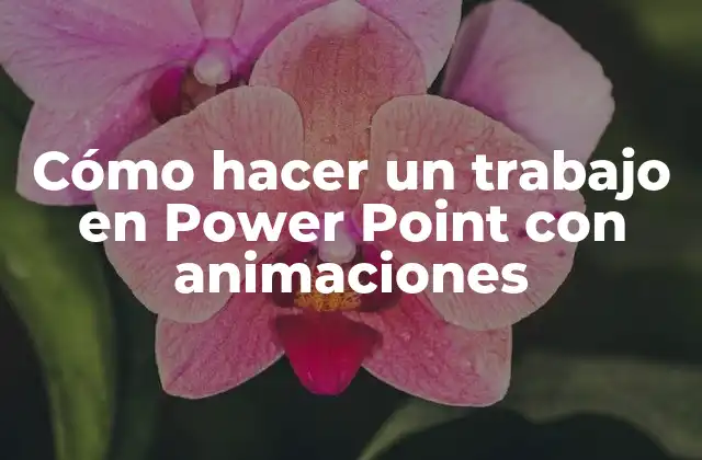 Cómo Hacer un Trabajo en Power Point con Animaciones