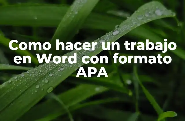 Como Hacer un Trabajo en Word con Formato Apa
