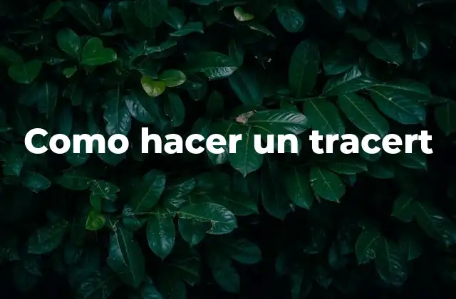 Como Hacer un Tracert
