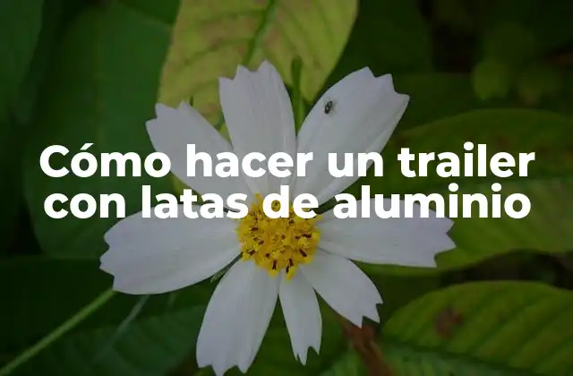 Cómo Hacer un Trailer con Latas de Aluminio