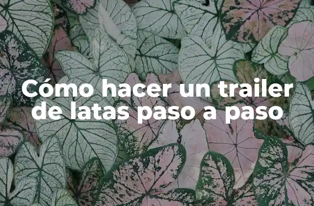 Cómo Hacer un Trailer de Latas Paso a Paso