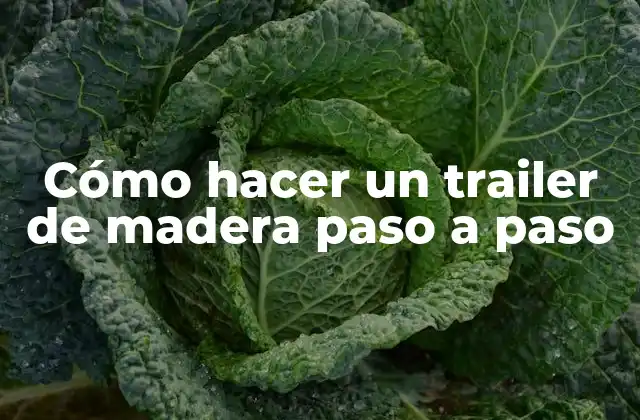 Cómo Hacer un Trailer de Madera Paso a Paso