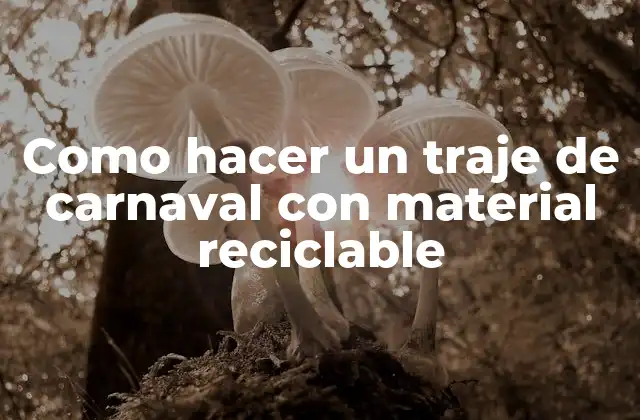 Como Hacer un Traje de Carnaval con Material Reciclable