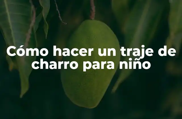 Cómo Hacer un Traje de Charro para Niño