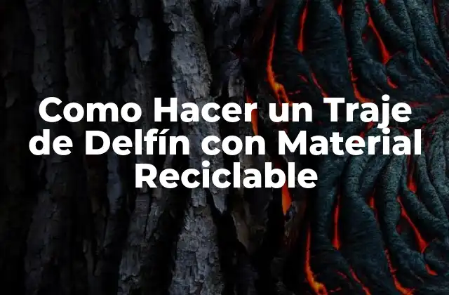 ¿Qué es un Traje de Delfín con Material Reciclable?