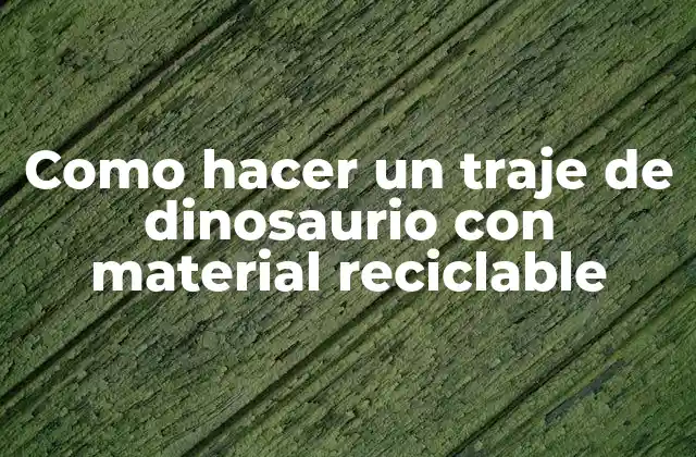 Como Hacer un Traje de Dinosaurio con Material Reciclable