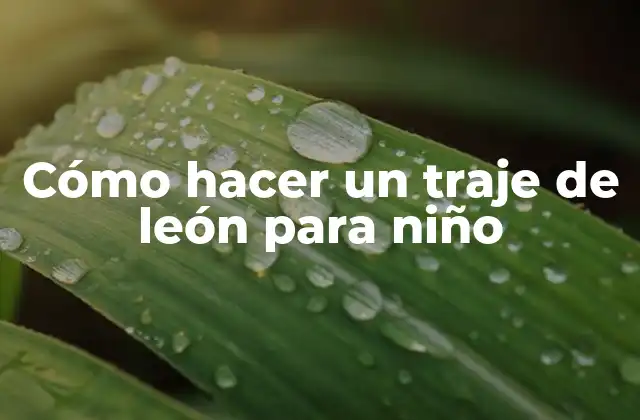 Cómo Hacer un Traje de León para Niño