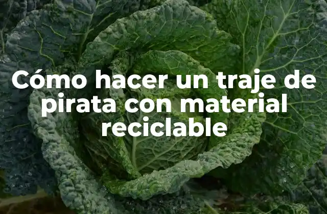 Cómo Hacer un Traje de Pirata con Material Reciclable