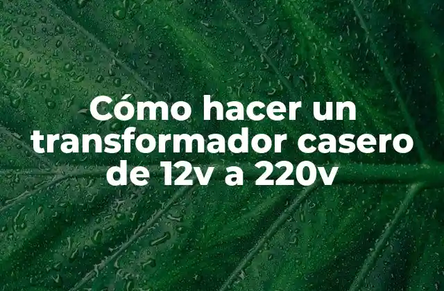 Cómo Hacer un Transformador Casero de 12v a 220v