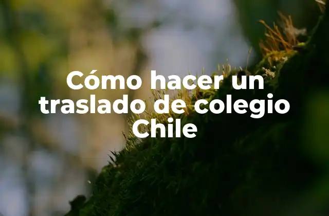 Cómo Hacer un Traslado de Colegio Chile