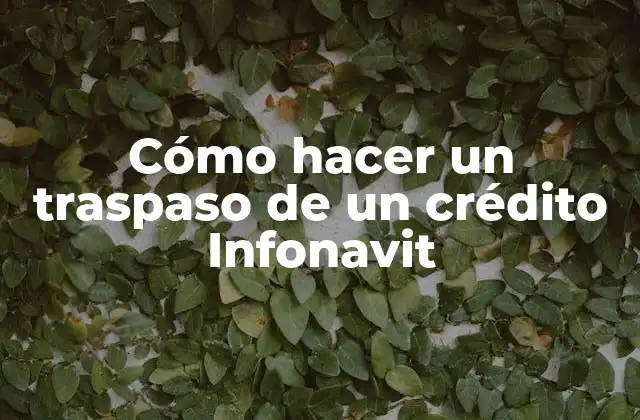 Cómo Hacer un Traspaso de un Crédito Infonavit