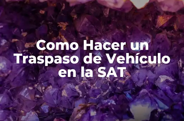 Como Hacer un Traspaso de Vehículo en la Sat