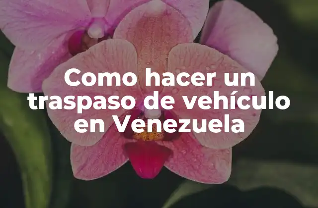 Como Hacer un Traspaso de Vehículo en Venezuela