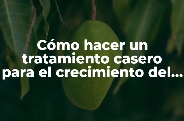 Cómo Hacer un Tratamiento Casero para el Crecimiento Del Cabello