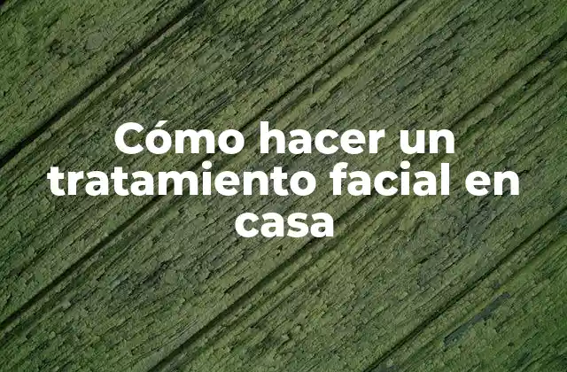 Cómo Hacer un Tratamiento Facial en Casa