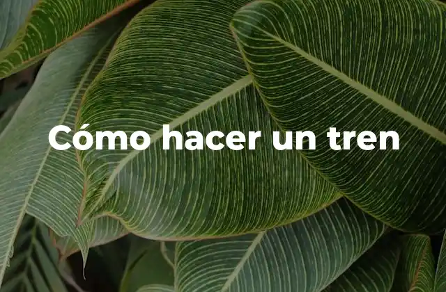 ¿Qué es un tren y cómo se construye?