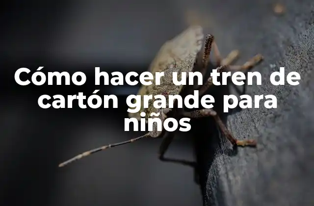 Cómo Hacer un Tren de Cartón Grande para Niños